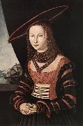 CRANACH, Lucas the Elder Portrait of a Woman dfg Spain oil painting artist